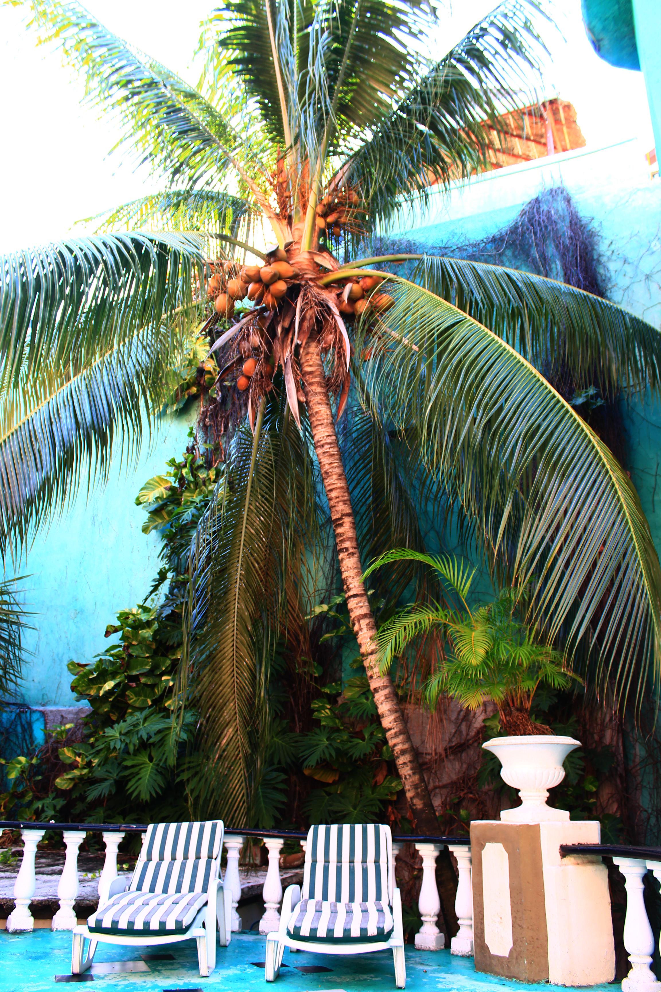 Maya Del Mar On Fifth Avenue Playa del Carmen Ngoại thất bức ảnh